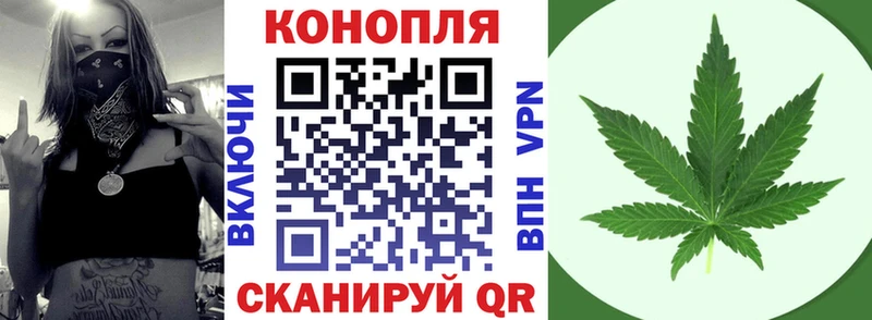 Каннабис конопля  где продают наркотики  Бирюсинск 